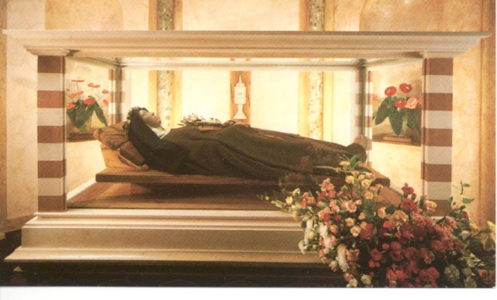 Customfit Pilgrimages from Blessed John XXIII to St. Faustina Tekton