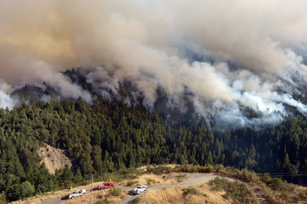 Wildfire in California, America - 13 Aug 2014