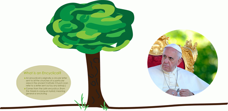 An environment encyclical in March? Pope Francis hopes so