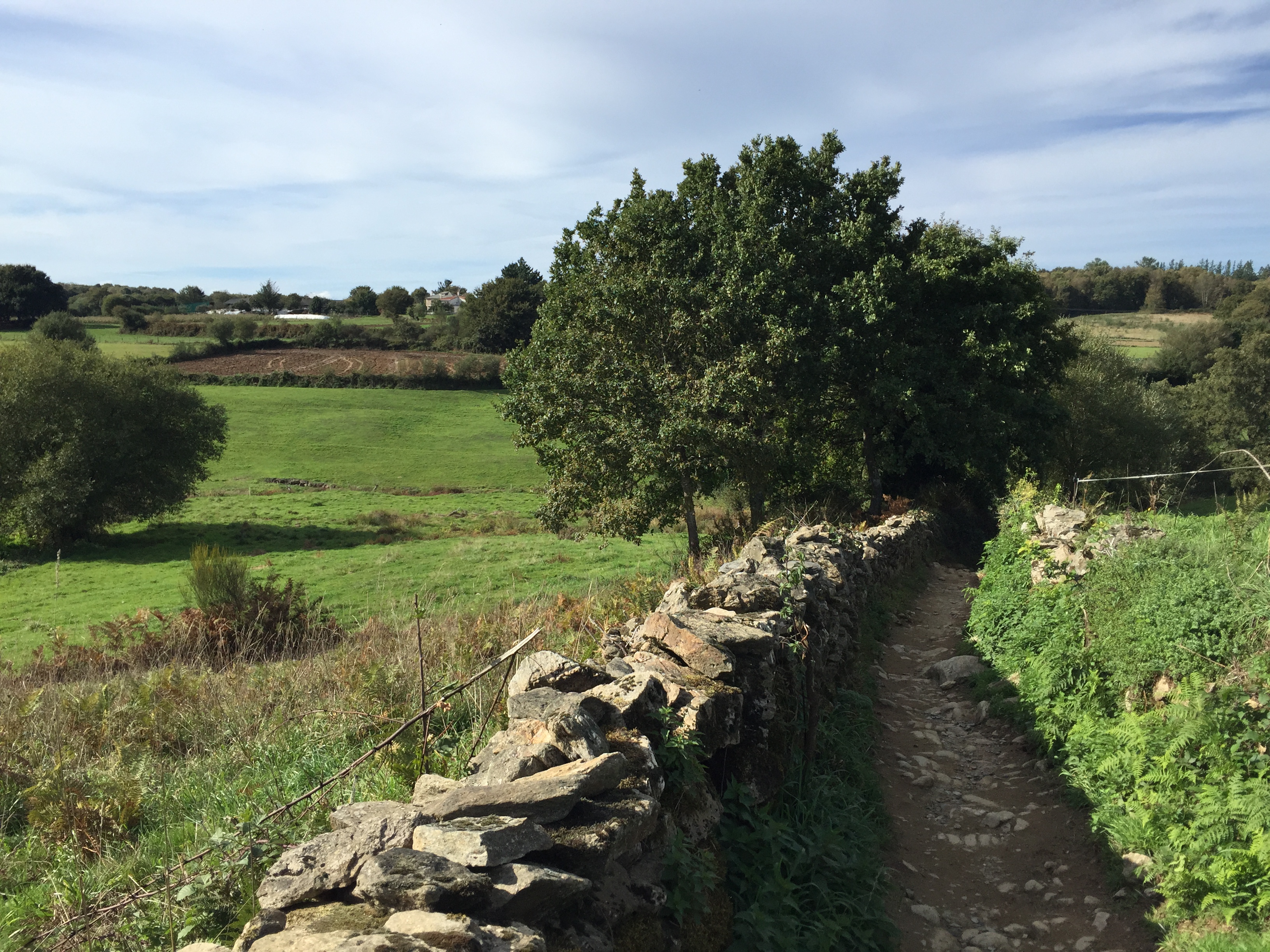 St. James and the Camino de Santiago