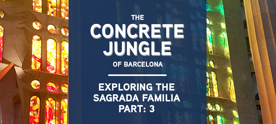 The Concrete Jungle of Barcelona: Exploring the Sagrada Familia Part 3