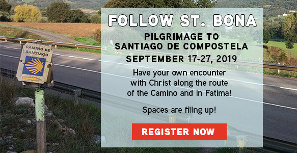 https://www.tektonministries.org/catholic-pilgrimages/favorite-destinations/camino-de-santiago/