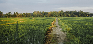 Glogowiec and Swinice Warckie, Poland