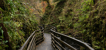 Wexford National Heritage Park