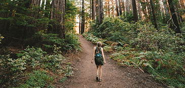 Mill Valley- Muir Woods National Monument