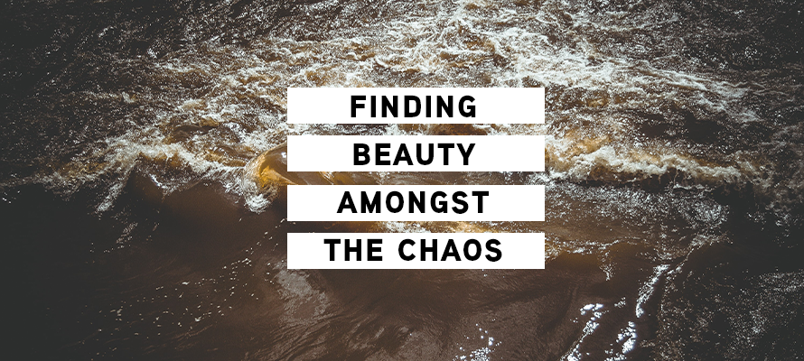 Finding Beauty Amongst the Chaos