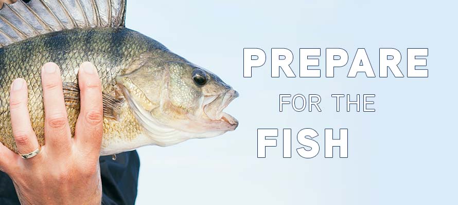 Featured image for “Prepare for the Fish”