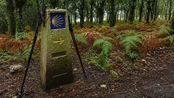 Featured image for “Leading Your Parish on the Camino de Santiago”