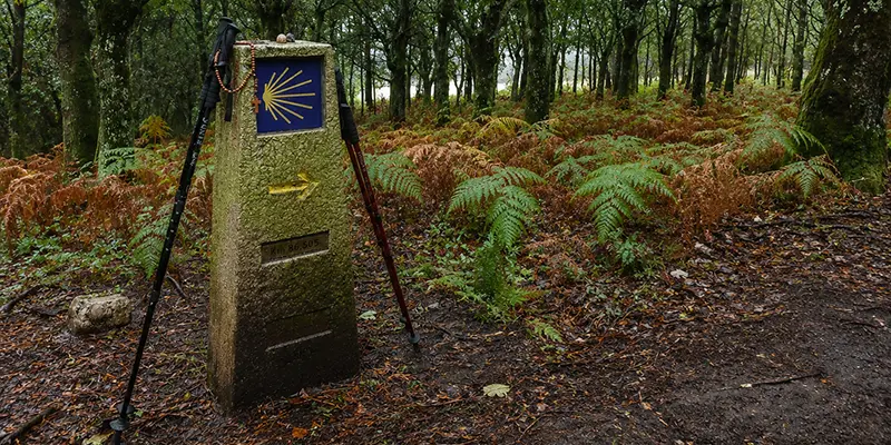 The scallop shell and yellow arrow have guided pilgrims toward Santiago for centuries.