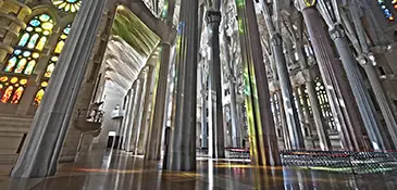 Interior of La Sagrada Família in Barcelona, tree-shaped stone columns rising to vaulted ceilings amid colored light from Gaudí's stained glass.
