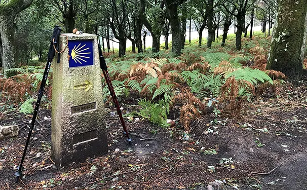 For the waymarker photo on the Camino Francés card: Stone waymarker with the scallop shell and yellow arrow marking the route, with a pilgrim's trekking poles resting against it — Camino de Santiago Catholic pilgrimage in Galicia, Spain