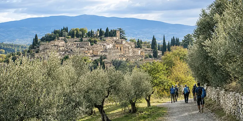 Pilgrims walking a path in Assisi toward the Basilica of St. Francis