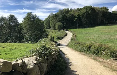 Pilgrim path winding uphill through green countryside on the Camino de Santiago