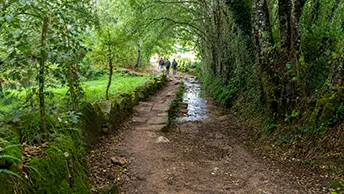 Featured image for “The Last 100 Kilometers: Walking the Final Stretch of the Camino”